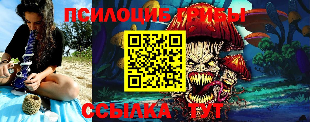 Псилоцибиновые грибы прущие грибы Ленинск-Кузнецкий
