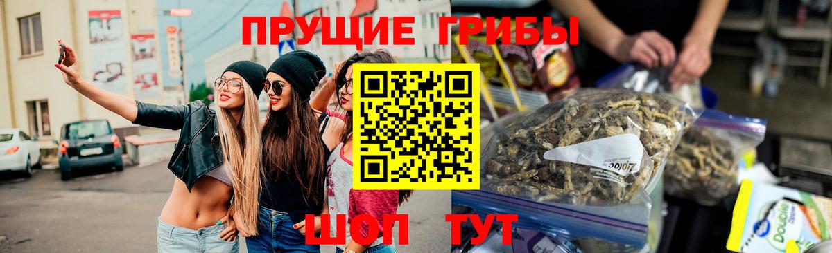 Ленинск-Кузнецкий  Псилоцибиновые грибы прущие грибы  как найти наркотики  Вход с VPN 